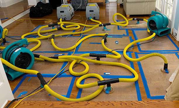 Professional Basement Flood Cleanup technician working in Millersport, OH